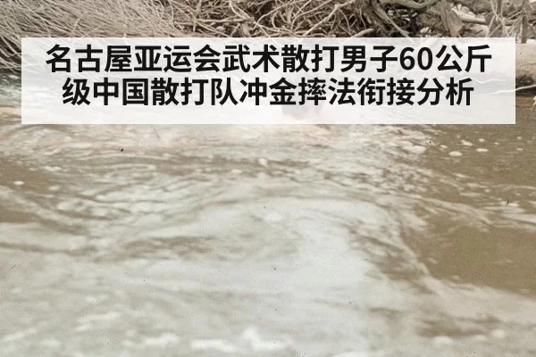 名古屋亚运会武术散打男子60公斤级中国散打队冲金摔法衔接分析
